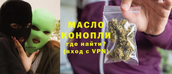 индика Рославль