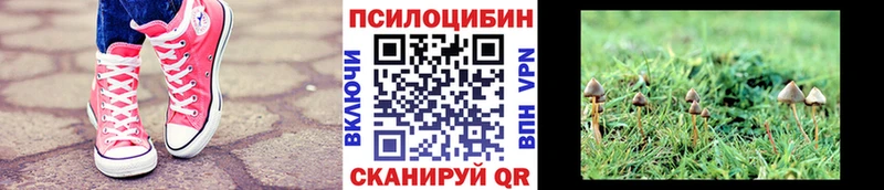 МЕГА сайт  где купить наркоту  Мышкин  Псилоцибиновые грибы GOLDEN TEACHER 